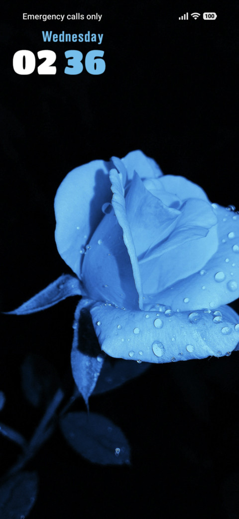 Blue Rose preview