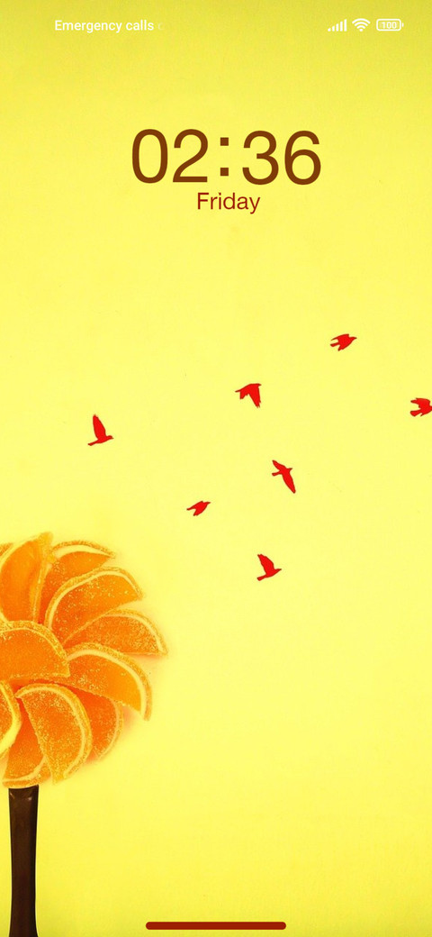 Orange Fun preview