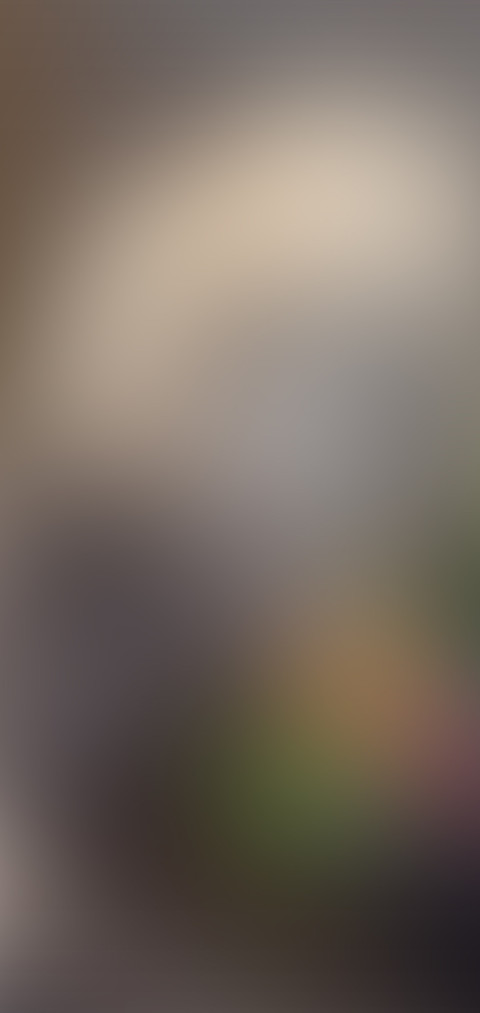 熊猫宝宝 preview
