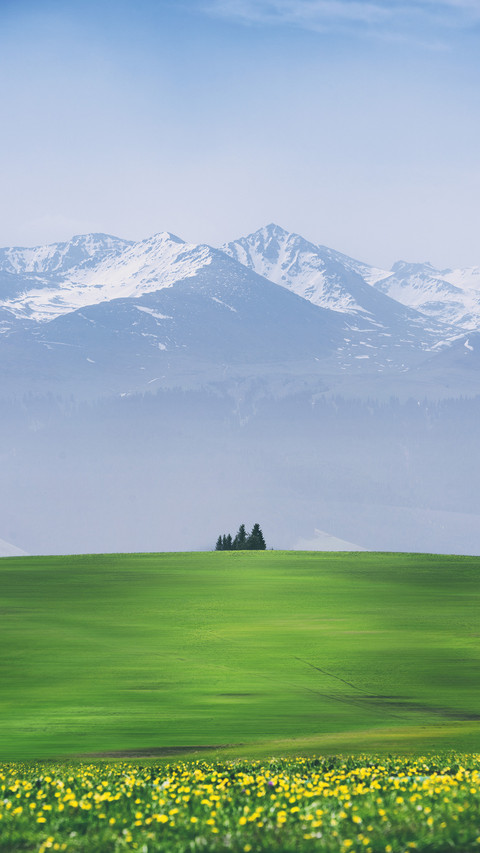 How to shoot minimalist photography 15 preview