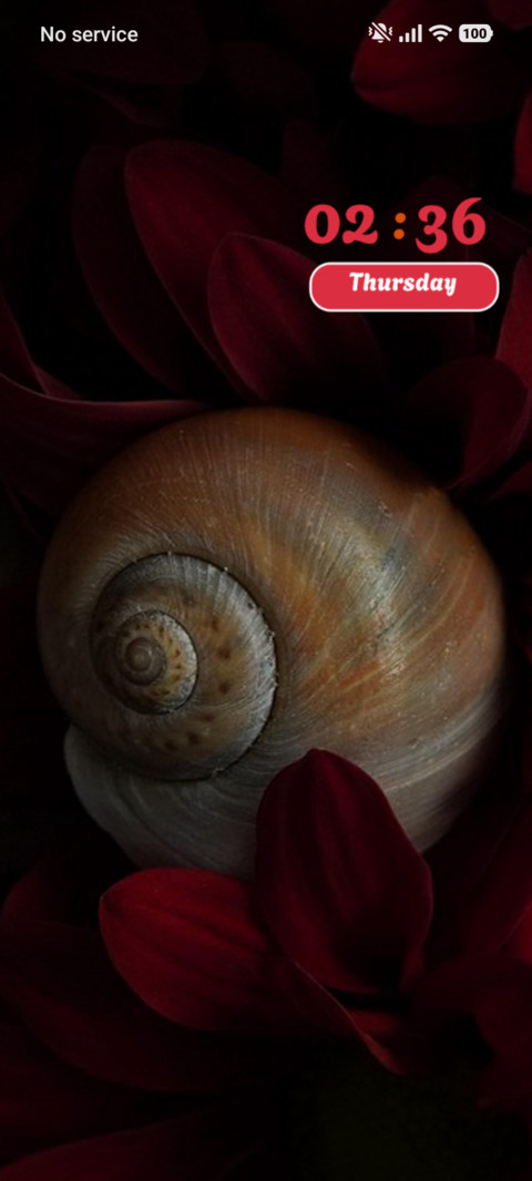 Snail preview