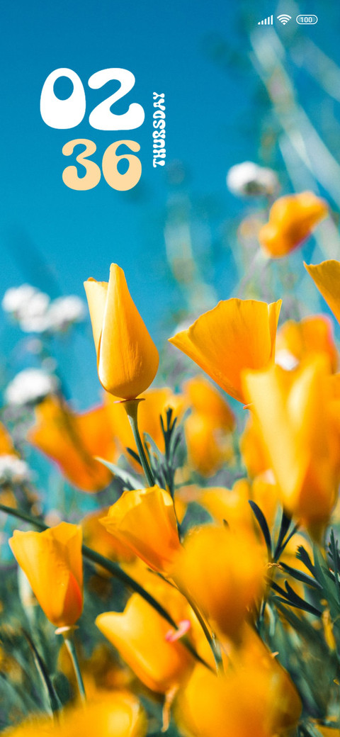 Wow Flowers preview
