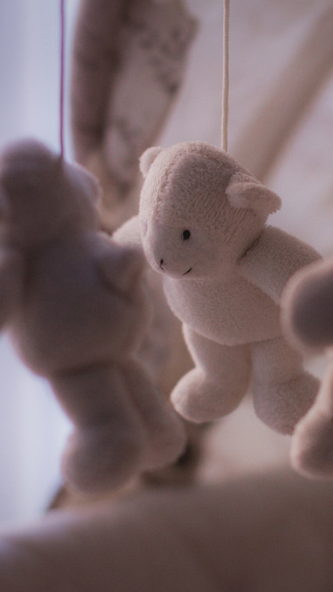 toy (10) preview