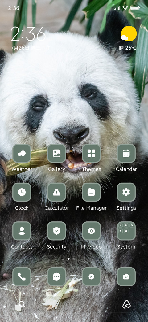 panda preview