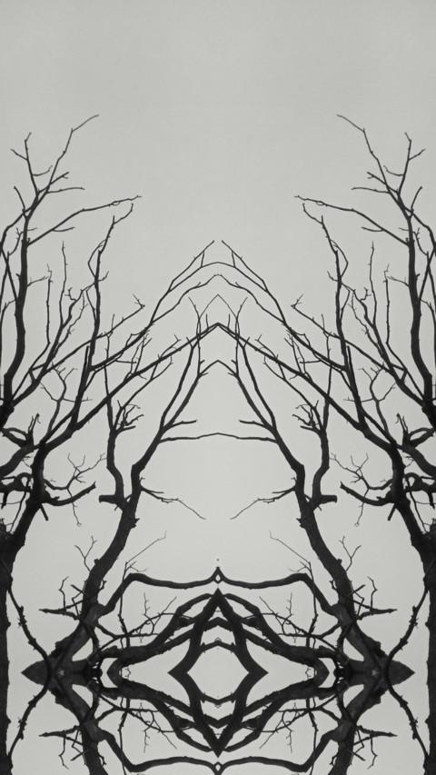 Abhishek Gaikwad (11) preview