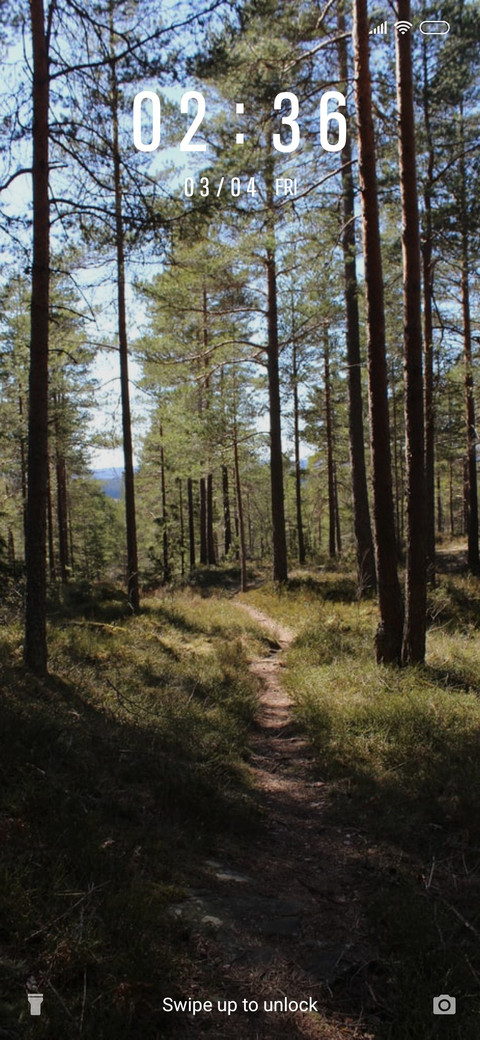 Forest Trails_3MDS preview