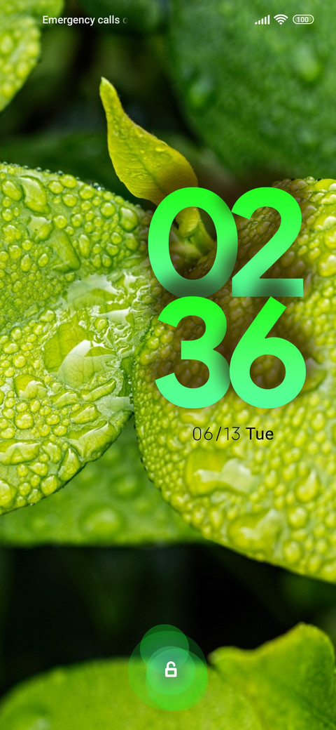 rain green preview