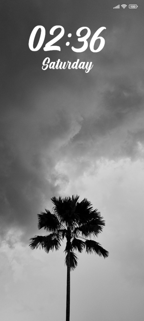 Palm Tree preview
