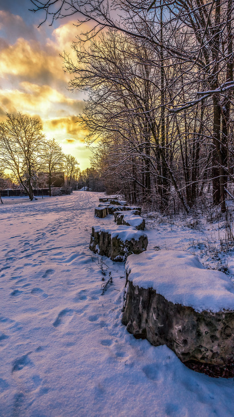 Winter roadside paths preview