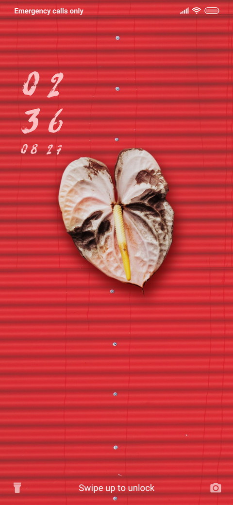 Anthurium_3MDS preview