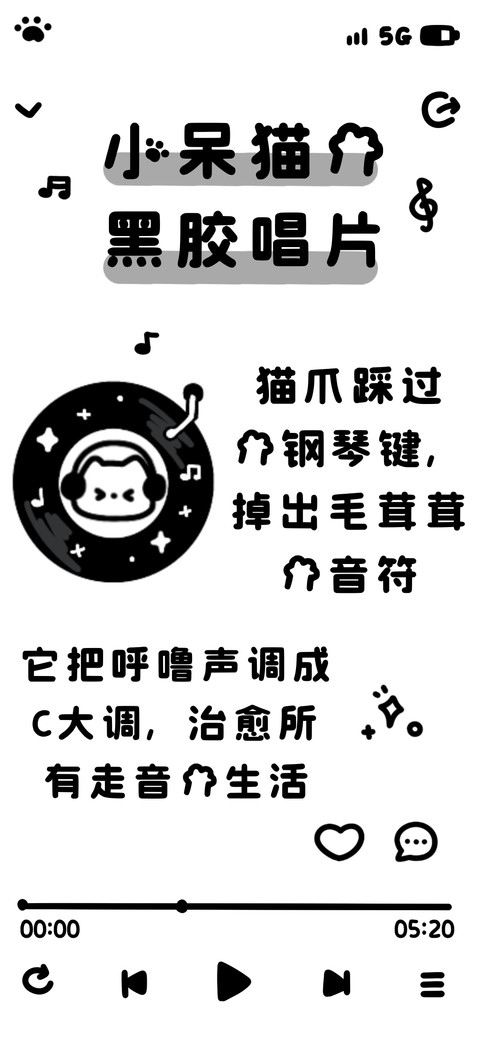 小呆猫的黑胶唱片 preview