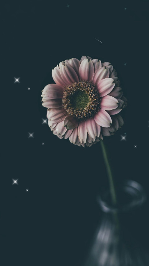 Elegant flower preview