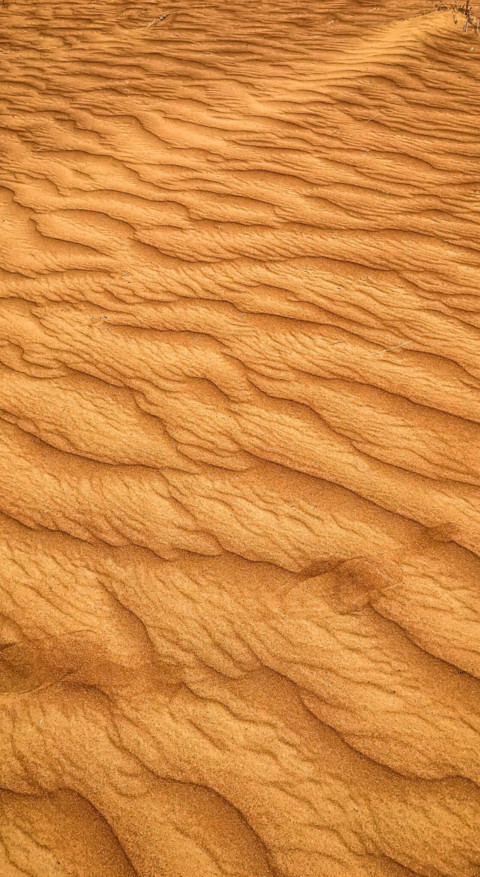 Texture & Pattern (23) preview