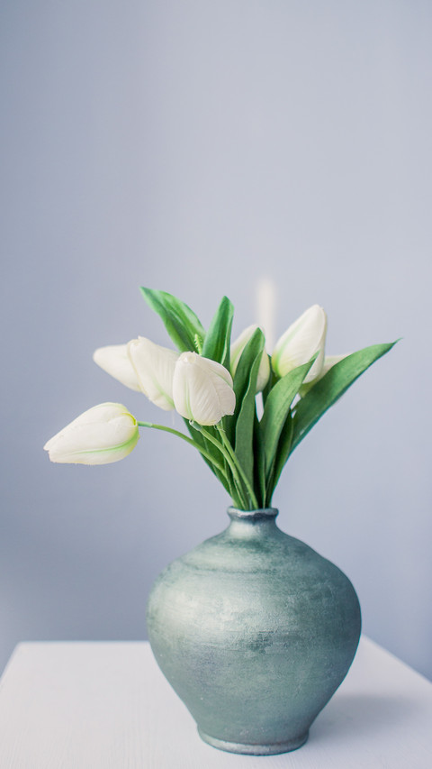 White tulips in a jug on a table in the early morning preview