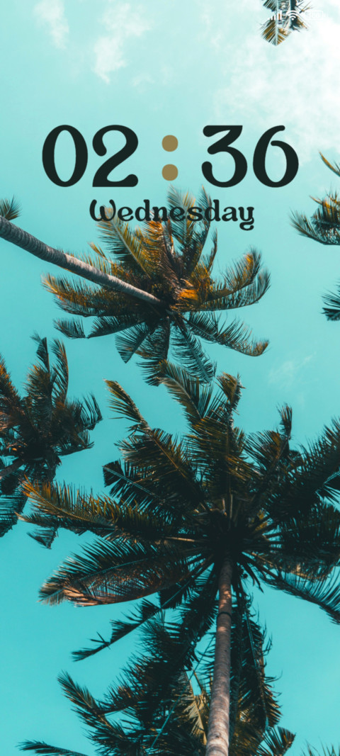 Palm Tree preview