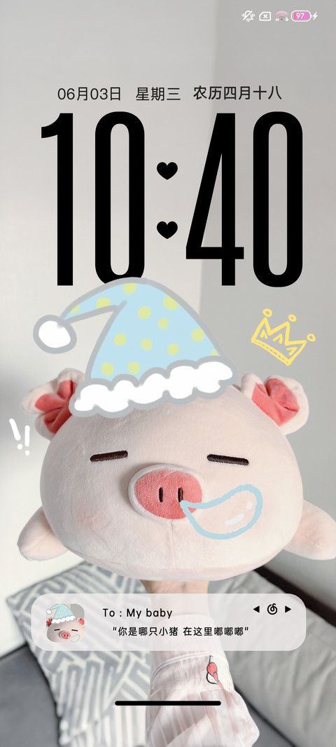 ins 呆萌小猪 preview