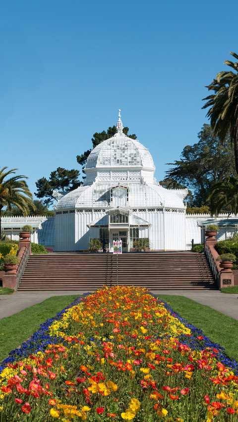 Conservatory of flowers san francisco preview