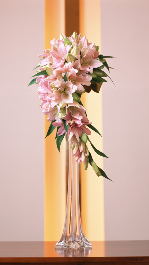 You can choose 65 for indoor flower arranging preview
