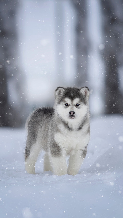 shutterstock_1666316569 preview