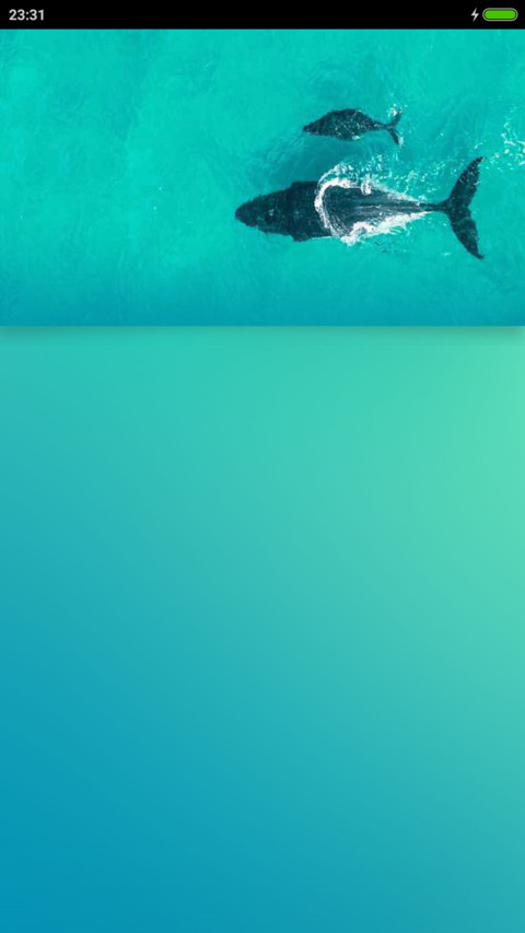 sea NY preview