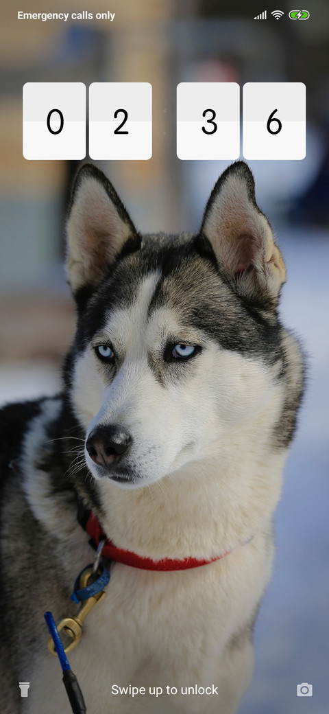 Husky_3MDP preview