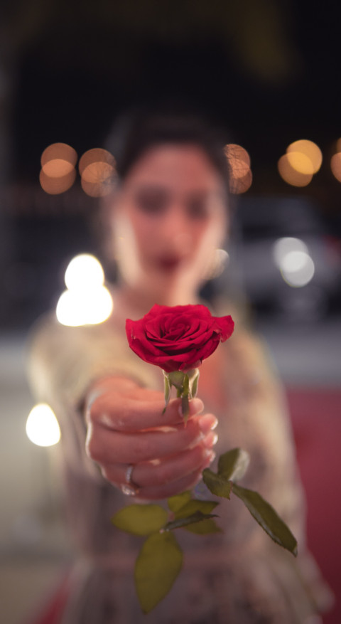 Red Roses preview