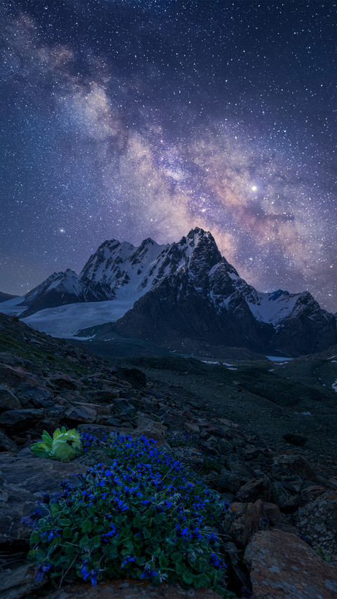 Snow mountain glacier and high mountain snow lotus preview