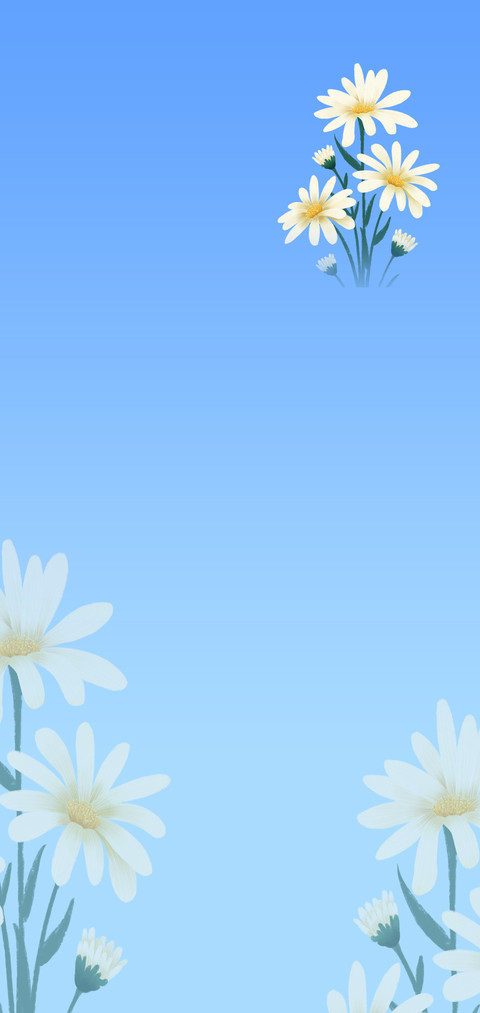 小菊花 preview