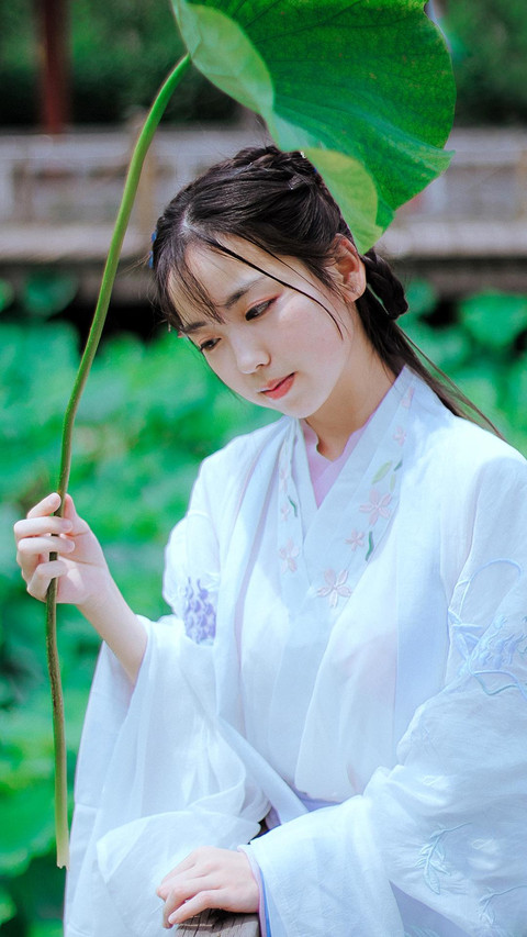 荷叶连连 preview