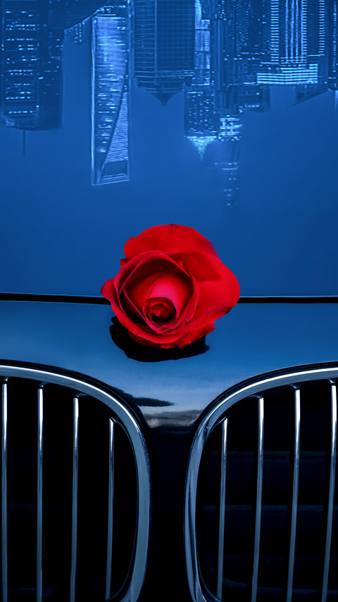 The reflection of urban buildings and roses on the car preview