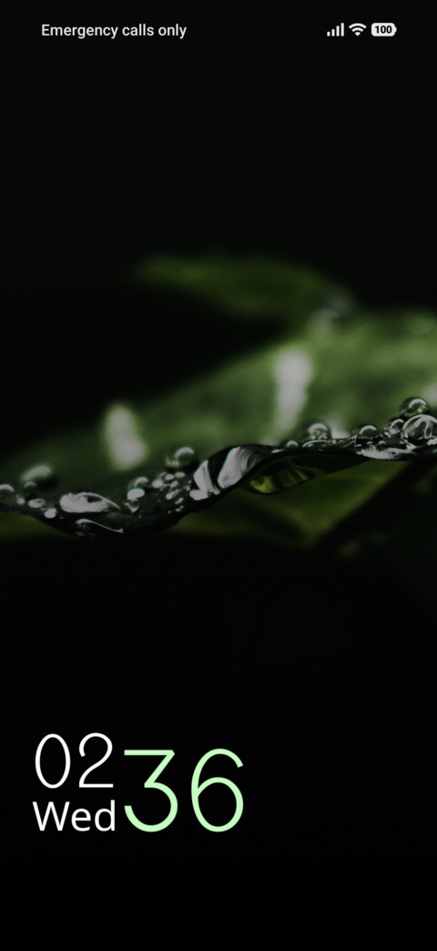 Silver Gleam preview