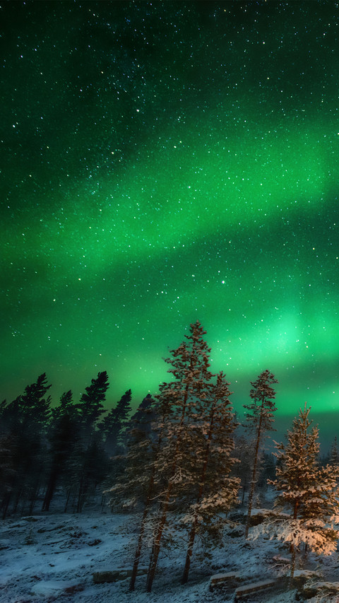 An encounter with the aurora preview