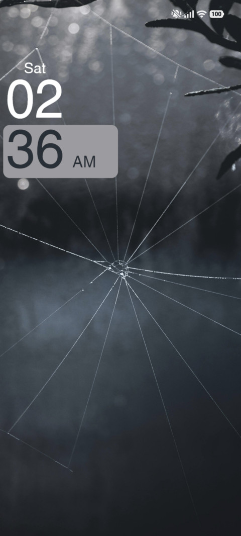 Spider preview