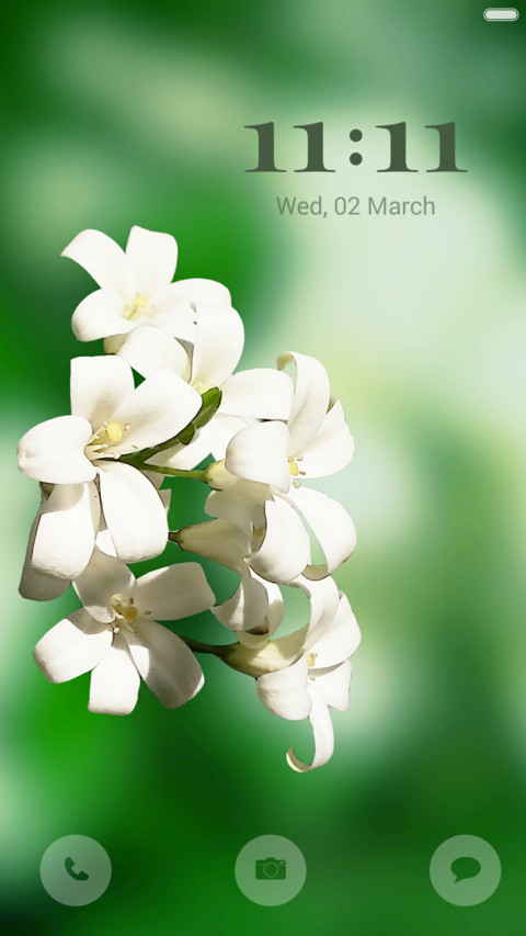  IN Flowers preview