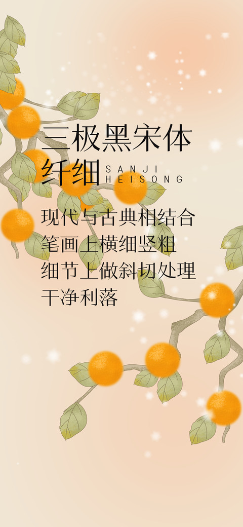 三极黑宋体 纤细 preview
