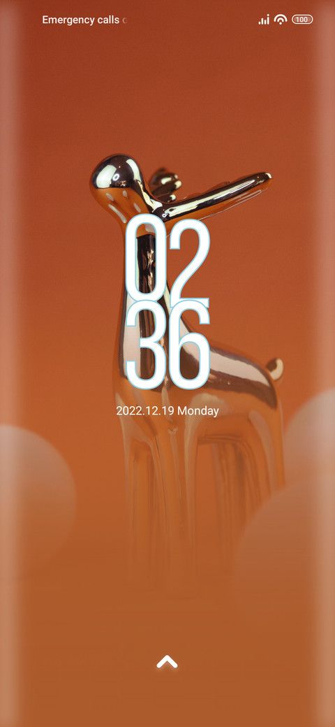 Ornament preview