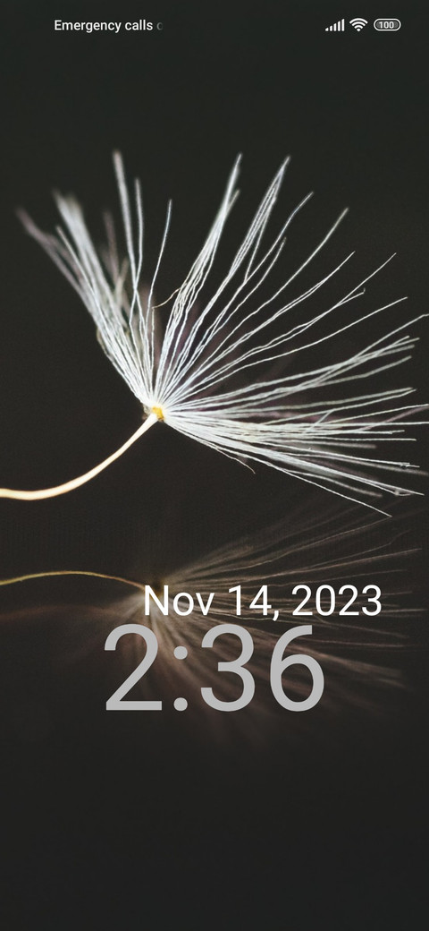 minimal dandelion preview