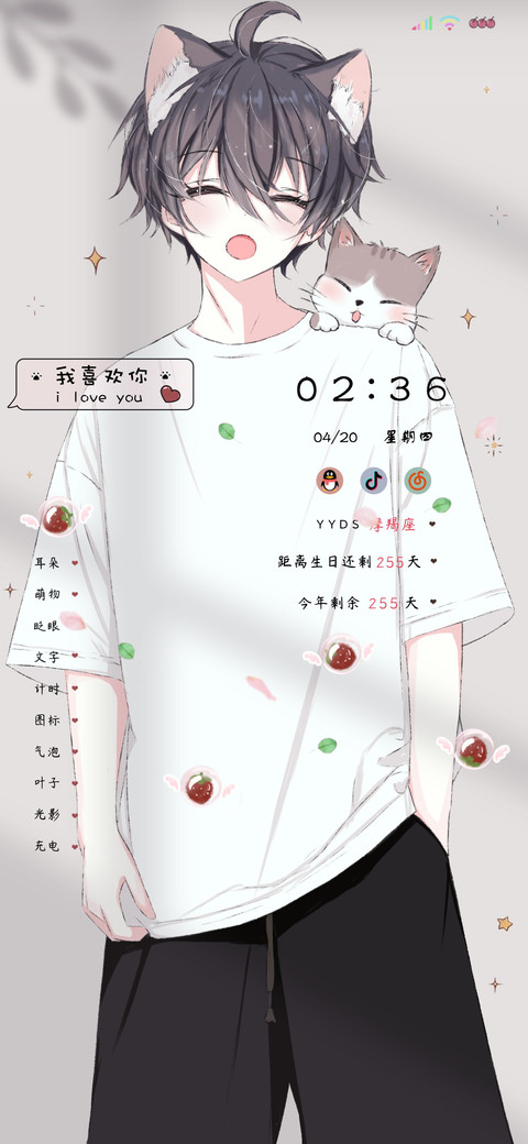 动效猫耳少年 preview