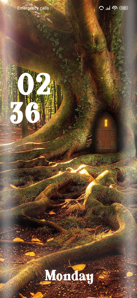 Tree house preview