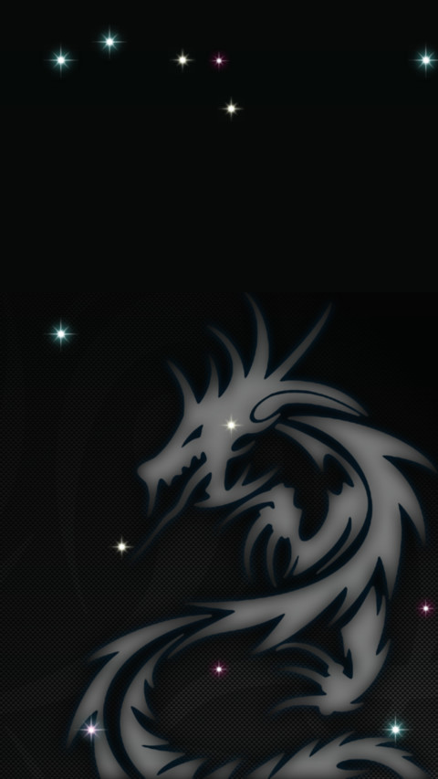 龙 preview