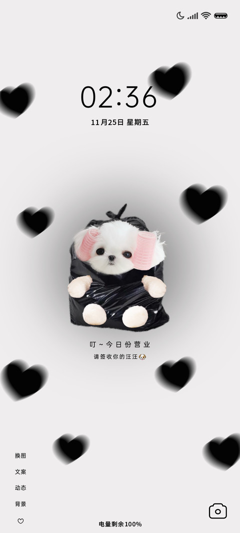 叮 签收你的汪汪 preview