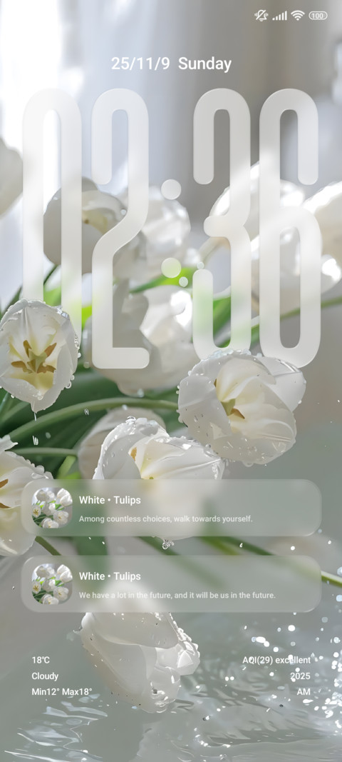 Glass Pro preview