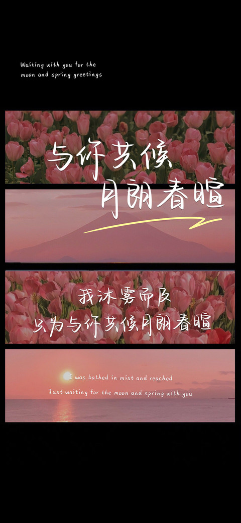 与你共候月朗春暄 preview