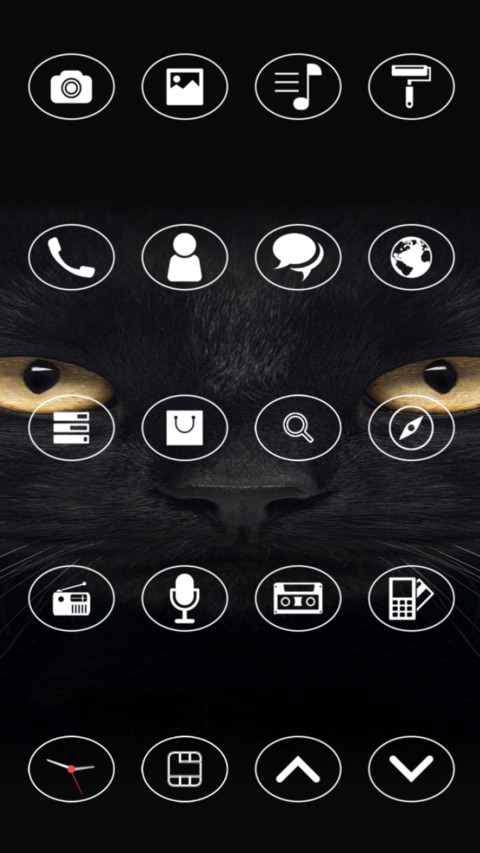 Cat preview