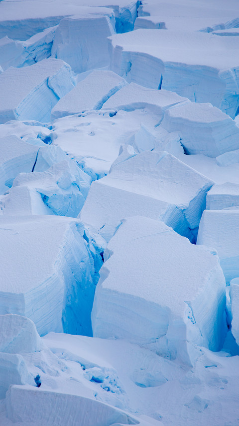 Recurrent Epidemic in Antarctica 8 preview