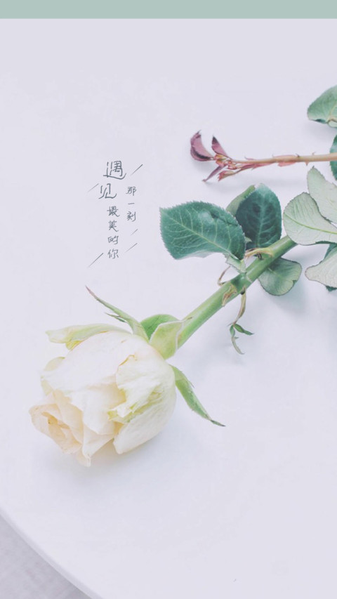 喜欢就喜欢 preview