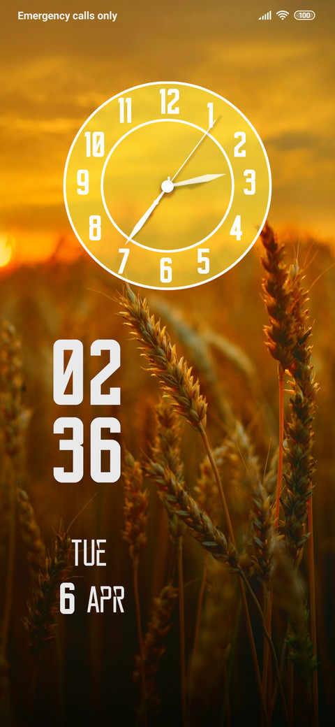 SweetCorn preview