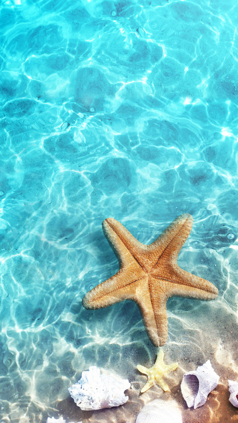 Beach Diary preview