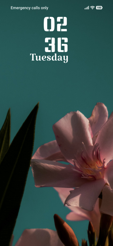 Sky Petals preview