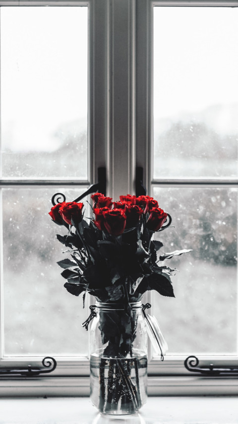 Christmas (9) preview